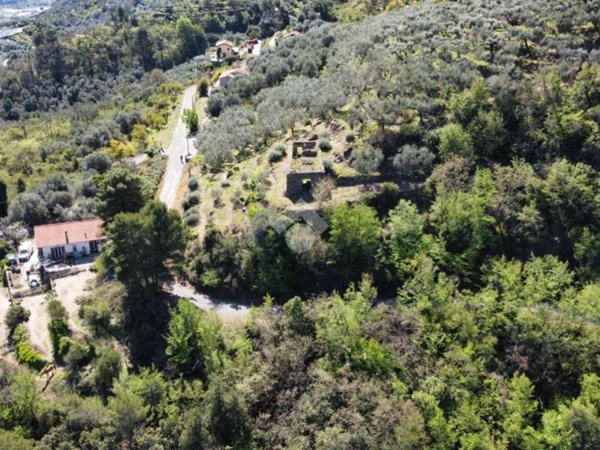 quadrivano in vendita a Dolceacqua