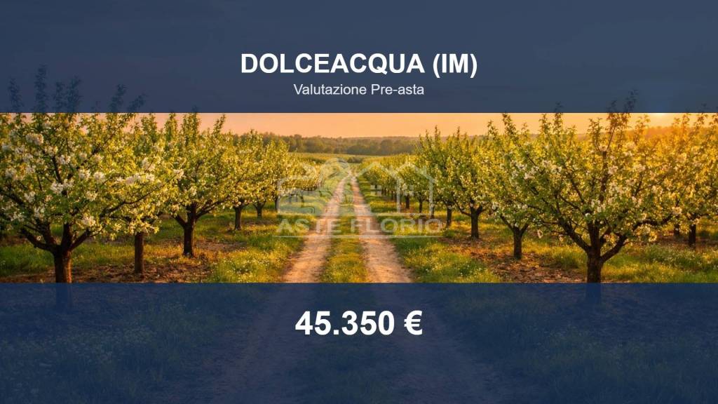 terreno agricolo in vendita a Dolceacqua