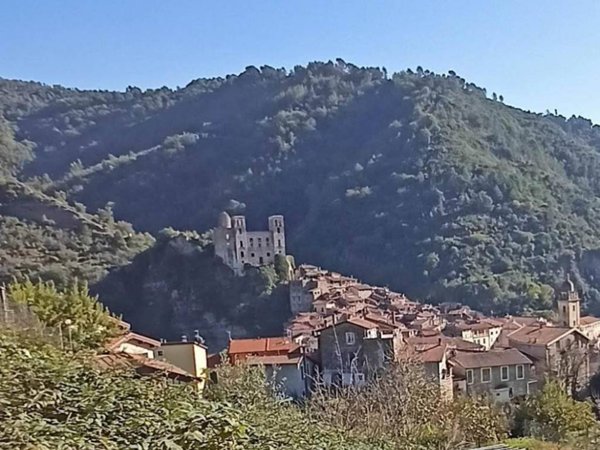 terreno agricolo in vendita a Dolceacqua