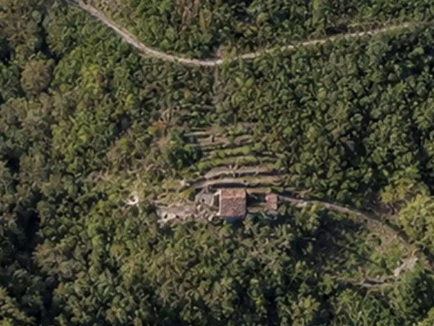 casa indipendente in vendita a Dolceacqua