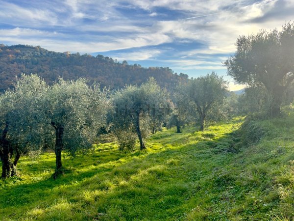 terreno in vendita a Dolceacqua