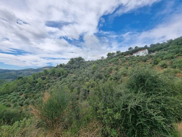casale in vendita a Dolceacqua