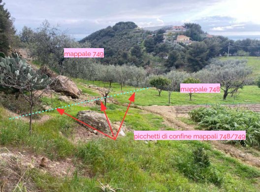 casa indipendente in vendita a Dolcedo