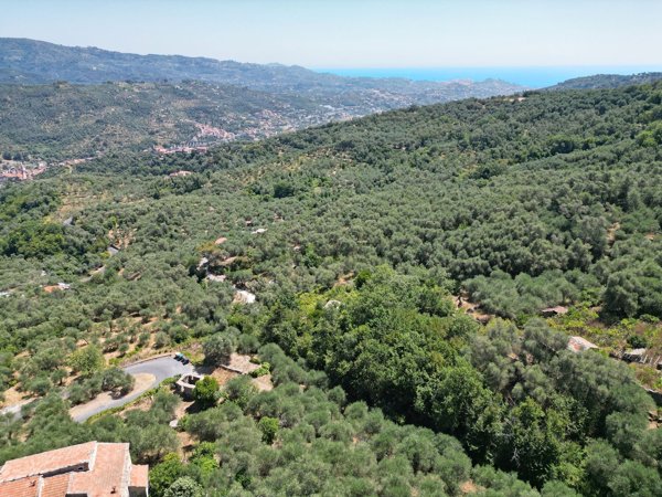 casa indipendente in vendita a Dolcedo in zona Bellissimi