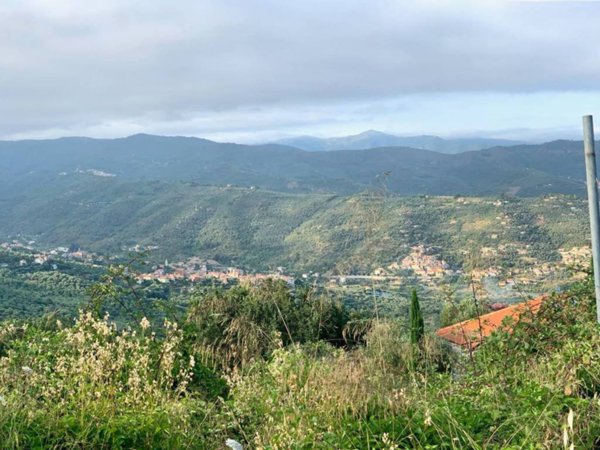 terreno agricolo in vendita a Dolcedo in zona Santa Brigida