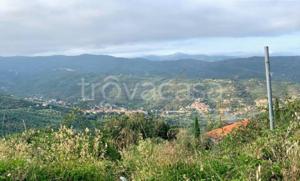 terreno agricolo in vendita a Dolcedo in zona Santa Brigida