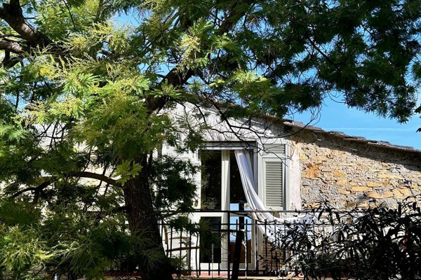 esavano in vendita a Dolcedo in zona Trincheri