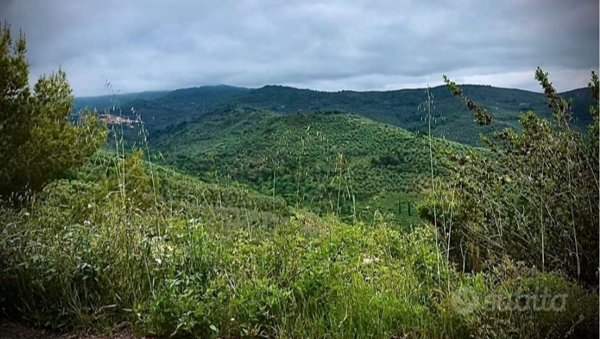appartamento in vendita a Dolcedo