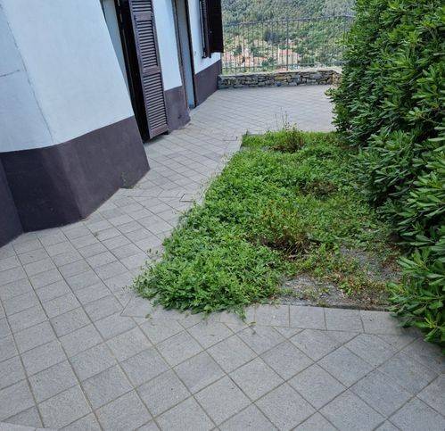 appartamento in vendita a Dolcedo in zona Costa Carnara