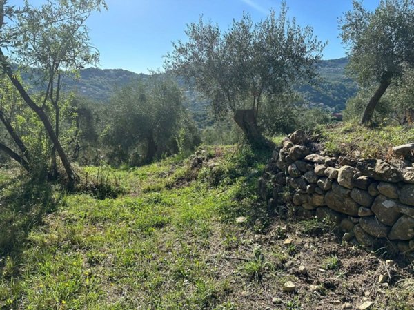 terreno edificabile in vendita ad Imperia