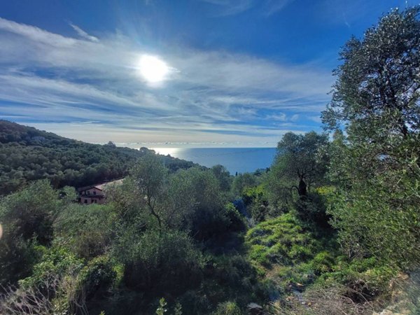 terreno agricolo in vendita ad Imperia in zona Oneglia