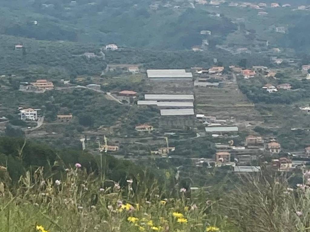 terreno agricolo in vendita ad Imperia in zona Montegrazie