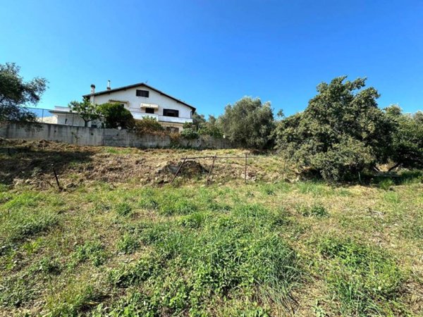 terreno agricolo in vendita ad Imperia