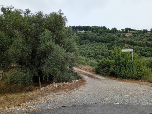 terreno agricolo in vendita ad Imperia in zona Oneglia