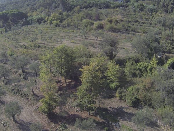 terreno edificabile in vendita ad Imperia in zona Torrazza / Clavi