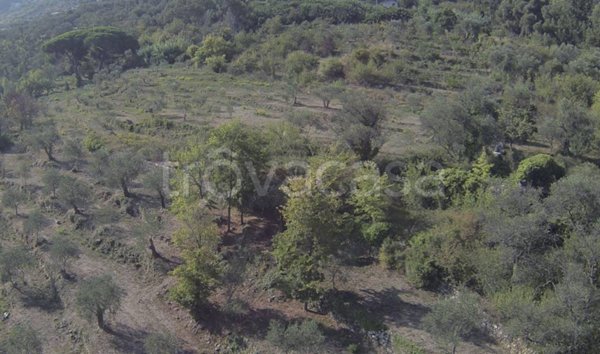 terreno edificabile in vendita ad Imperia in zona Poggi