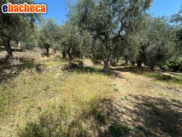 appartamento in vendita ad Imperia in zona Oneglia