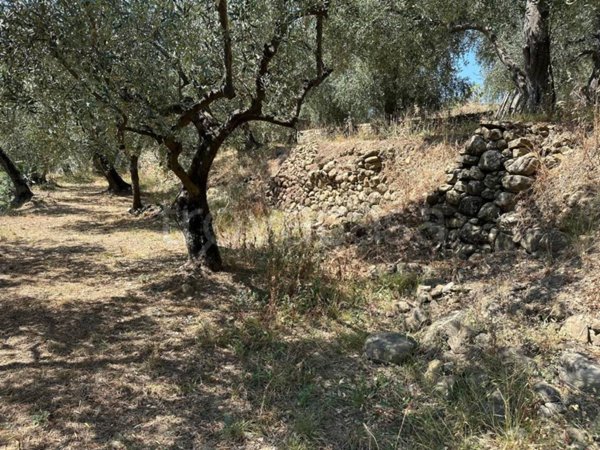 terreno agricolo in vendita ad Imperia in zona Oneglia