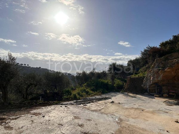 terreno agricolo in vendita ad Imperia in zona Oneglia