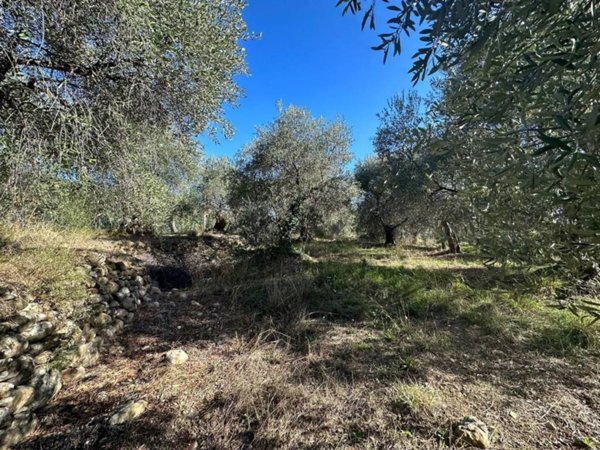 terreno edificabile in vendita ad Imperia