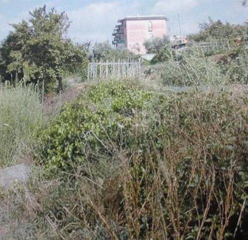 terreno agricolo in vendita ad Imperia in zona Porto Maurizio