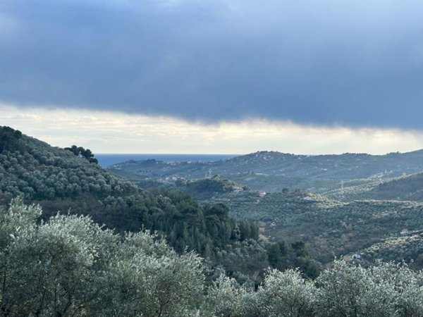 terreno agricolo in vendita ad Imperia in zona Moltedo