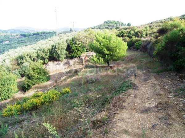 casa indipendente in vendita ad Imperia in zona Oneglia