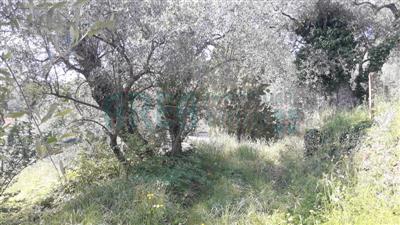 terreno agricolo in vendita ad Imperia in zona Borgo d'Oneglia