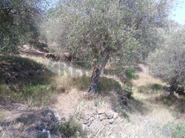 terreno agricolo in vendita ad Imperia in zona Borgo d'Oneglia