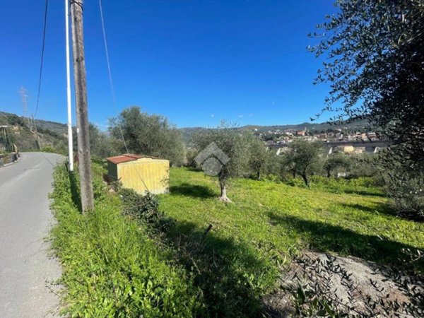 terreno agricolo in vendita ad Imperia