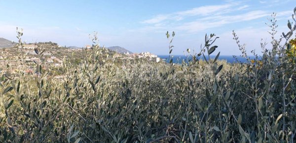 terreno agricolo in vendita ad Imperia in zona Porto Maurizio