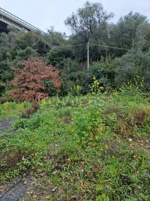 terreno agricolo in vendita ad Imperia in zona Porto Maurizio