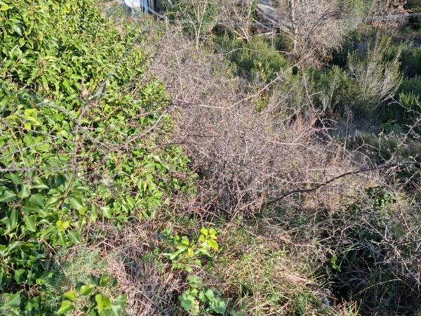 casa indipendente in vendita ad Imperia in zona Torrazza / Clavi