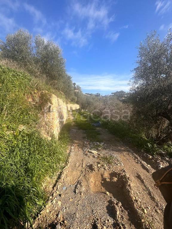 terreno agricolo in vendita ad Imperia in zona Oneglia