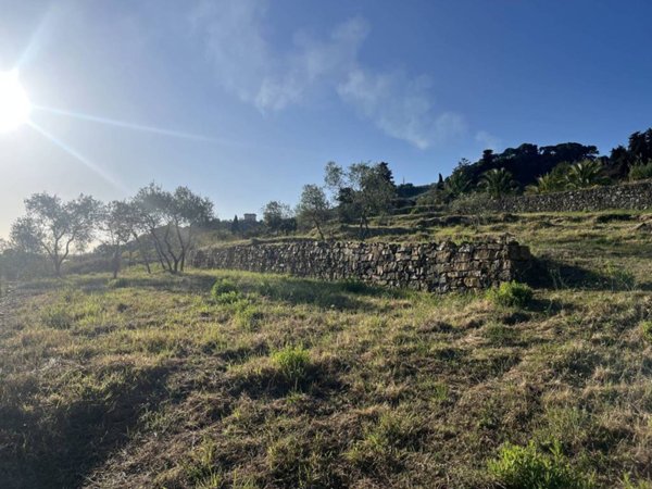 terreno agricolo in vendita ad Imperia in zona Torrazza / Clavi
