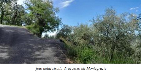 casa indipendente in vendita ad Imperia in zona Moltedo