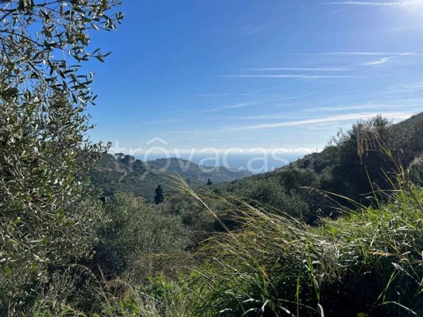 terreno agricolo in vendita ad Imperia in zona Oneglia