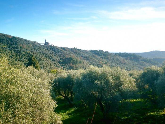 casa indipendente in vendita ad Imperia in zona Montegrazie