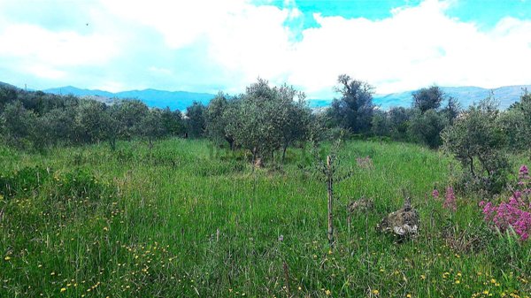 negozio in vendita ad Imperia in zona Porto Maurizio