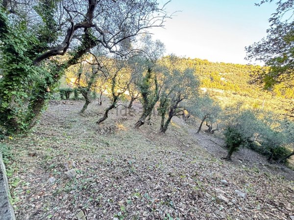 terreno agricolo in vendita ad Imperia in zona Sant'Agata