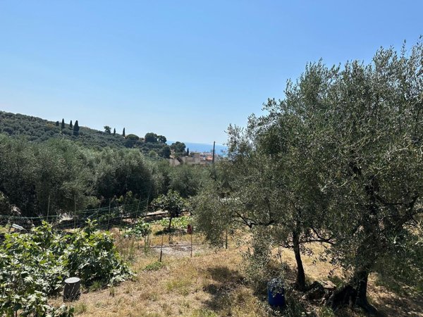 casa indipendente in vendita ad Imperia in zona Oneglia