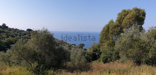 casa indipendente in vendita ad Imperia in zona Oneglia