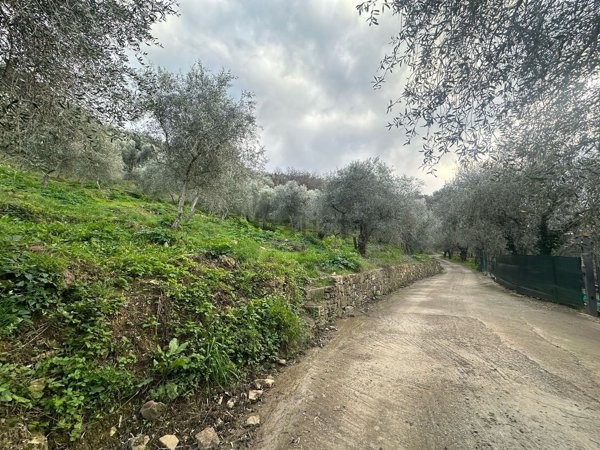 terreno agricolo in vendita ad Imperia in zona Porto Maurizio