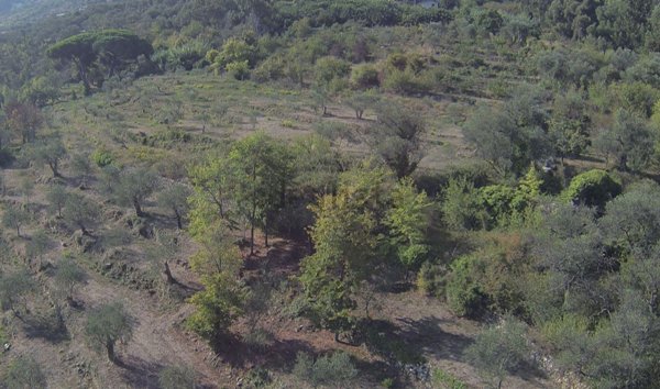 terreno edificabile in vendita ad Imperia in zona Porto Maurizio