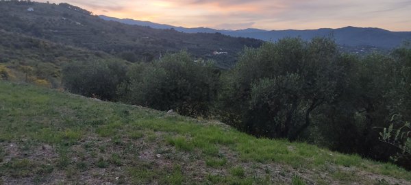 terreno edificabile in vendita ad Imperia