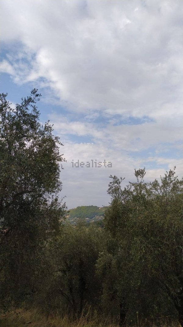 casa indipendente in vendita ad Imperia