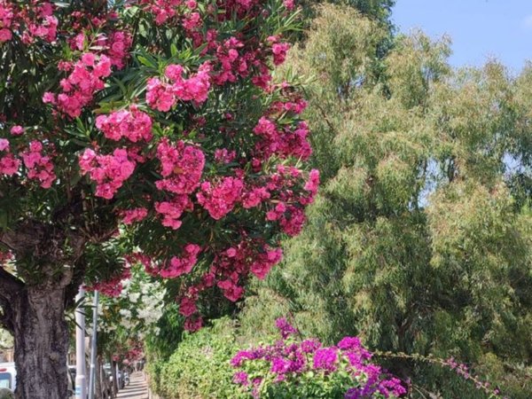 appartamento in vendita ad Imperia in zona Porto Maurizio