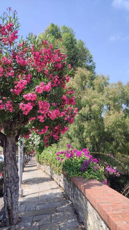 appartamento in vendita ad Imperia in zona Porto Maurizio