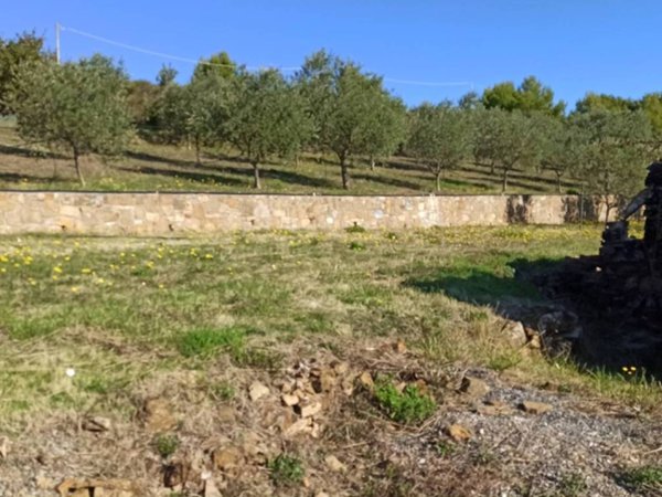 terreno agricolo in vendita ad Imperia in zona Oneglia