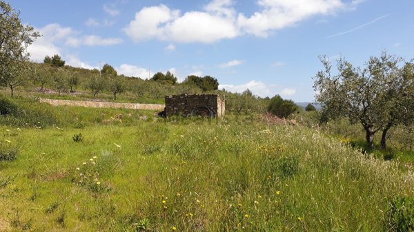 terreno edificabile in vendita ad Imperia